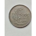 5 тысяч лир Турция.