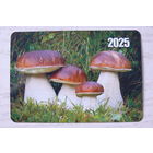 Календарик, 2025. Грибы, боровик.