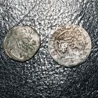Денарий 1621 и тернарий 1624 ,  Сигизмунд 3
