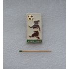 Олимпиада. Киев-1980.