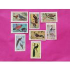 Вьетнам. Птицы. Фазаны. ( 8 марок ) 1979 года. 11-6.