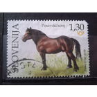 Словения 2018 Лошадь Михель-2,7 евро гаш