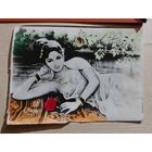 Старая фото открытка СССР в коллекцию