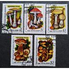Марка СССР 1986 год Грибы