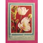 8 марта! Чистая. 1976 года. Савин. 2000.