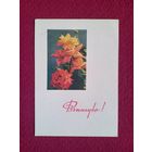 Поздравляю! Белорусская открытка. Ананьины 1967 г. Чистая.