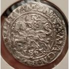 Полугрош. 1565г. Сигизмунд Август. Аукцион с рубля без минимальный цены