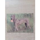 Календарик 1993