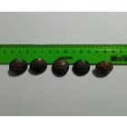 Пуговицы 5шт.