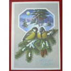 С Новым годом! Чистая. 1990 года. Куртенко. #243.