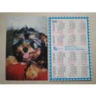 Карманный календарик . Щенок йоркширского терьера. Белпочта. 2002 год