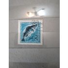 СССР, 1960 ФАУНА, ОХРАНА ЖИВОТНЫХ, 1м