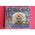 Celebration - The Modern Tribe (2008, CD)
