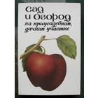 Сад и огород на приусадебном, дачном участке.