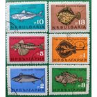 Болгария 1965. Фауна. Рыбы. Полная серия
