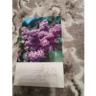 Открытка Поздравляю чистая 1973