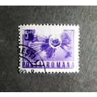 Марка Румыния 1971 год Стандарт