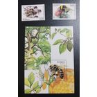 (Ч20) Насекомые. 2004. Серии с блоком.