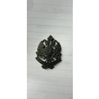 Кокарда ЖД РИА