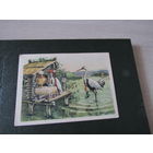 Лиса и журавль. русская народная сказка .худ. Кузьмин