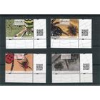 Польша. Фауна. Насекомые. Пауки