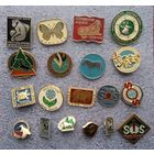 Значки. Природа. Экология.