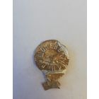 Крышка (пробка) царских времен.