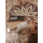 Календарик,котик,2023