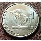 Замбия 1 квача, 2024    ( 2-9-7 )