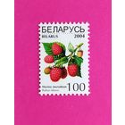 Беларусь. Стандарт. ( 1 марка ) 2004 года. 4-5.