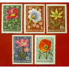 СССР. Цветы альпийских лугов Средней Азии. ( 5 марок ) 1974 года. 5-8.