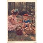 Подписанная открытка СССР. Фото Становова. 1957