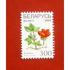 Беларусь. Стандарт. ( 1 марка ) 2004 года. 8-3.