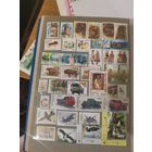 Сборный лот из марок Республики Беларусь