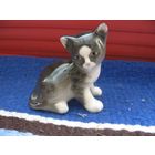 Котенок Парамоша ИФЗ (ЛФЗ)