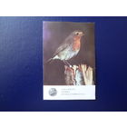 Каленарик 1987 г.  Латвийское общество Охраны природы. Зарянка.