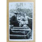 Фото в коллекцию