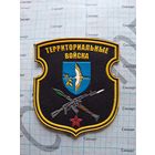 Шеврон Территориальные войска Столин