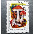 Марка СССР 1986 год Грибы