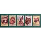 2008 Одиннадцатый стандартный выпуск (Дикие животные. Звери) Беларусь