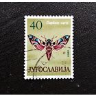 Марка Югославия 1964 год Бабочка