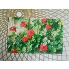 Открытка СССР 1974 год.   Чистая. Р.Папикъян. Состояние на скане.