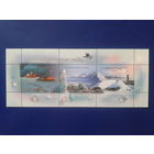 Россия 2007 Межд. полярный год** блок Mi-8,0 евро