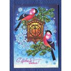 Музыкантова Н. С Новым годом! 1981г. Чистая