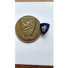 Памятная медаль+нагрудный знак(одним лотом).ICAOC Sembach Germany/17 th AIR FORCE.USA