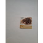 Марки Беларусь 2003 Пресмыкающие