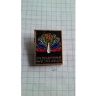 Сухумская турбаза им. XV съезда ВЛКСМ.