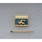 Спортивный клуб Горизонт. Плавание.
