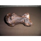 RRR!Кость МАМОНТА.Без МЦ.С рубля.