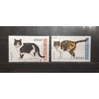 Республика Гвинея. 1996 год. Фауна. Кошки (760)